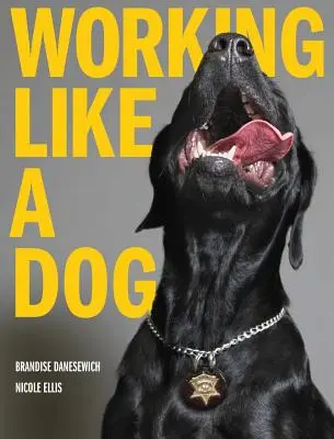 Pracovať ako pes - Working Like A Dog
