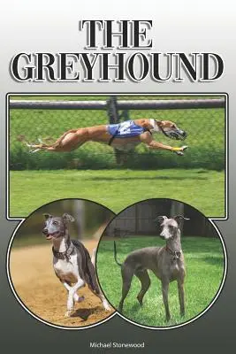 Chrt: A Complete and Comprehensive Owners Guide To: Kúpa, vlastníctvo, zdravie, starostlivosť, výcvik, poslušnosť, porozumenie a - The Greyhound: A Complete and Comprehensive Owners Guide To: Buying, Owning, Health, Grooming, Training, Obedience, Understanding and