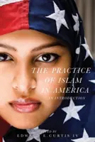 Prax islamu v Amerike: Úvod do problematiky - The Practice of Islam in America: An Introduction