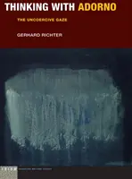 Myslenie s Adornom: Nenásilný pohľad - Thinking with Adorno: The Uncoercive Gaze