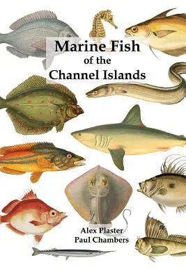 Morské ryby ostrovov v Lamanšskom prielive - Marine Fish of the Channel Islands