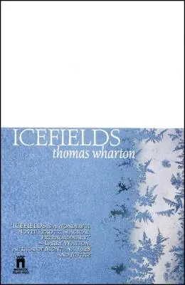Ľadové polia - Icefields