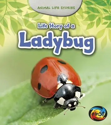 Životný príbeh berušky - Life Story of a Ladybug