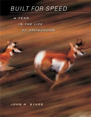 Built for Speed (Stvorený pre rýchlosť): Rok v živote Pronghorna - Built for Speed: A Year in the Life of Pronghorn