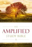 Amplified Study Bible, tvrdá väzba - Amplified Study Bible, Hardcover