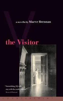 Návštevník - The Visitor