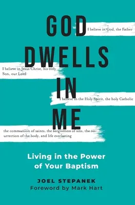 Boh prebýva vo mne: Žiť v sile svojho krstu - God Dwells in Me: Living in the Power of Your Baptism