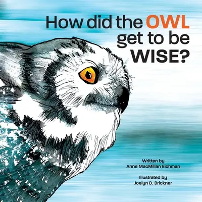 Ako sa sova stala múdrou - How Did the Owl Get to Be Wise