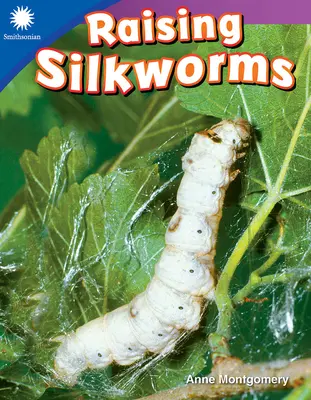 Chov priadky morušovej - Raising Silkworms