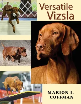 Všestranná vizsla - Versatile Vizsla