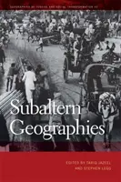 Subalterné geografie - Subaltern Geographies