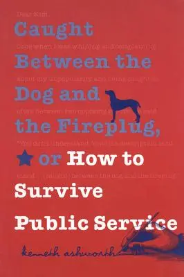 Chytený medzi psom a zástrčkou alebo ako prežiť v štátnej službe - Caught Between the Dog and the Fireplug, or How to Survive Public Service