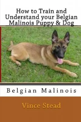 Ako vycvičiť a pochopiť vaše šteňa a psa belgického malinoisa - How to Train and Understand Your Belgian Malinois Puppy & Dog