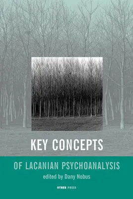 Kľúčové pojmy lacanovskej psychoanalýzy - Key Concepts of Lacanian Psychoanalysis