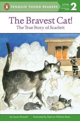 Najodvážnejšia mačka! - The Bravest Cat!