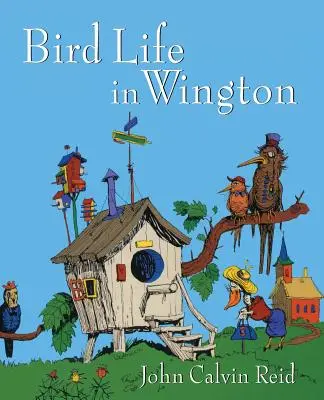 Život vtákov vo Washingtone - Bird Life in Wington