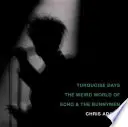 Turquoise Days: Podivný svet Echo & the Bunnymen - Turquoise Days: The Weird World of Echo & the Bunnymen