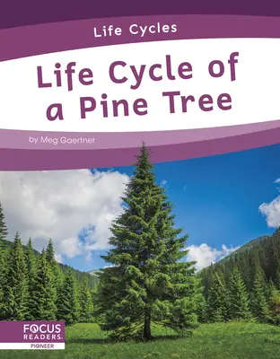 Životný cyklus borovice - Life Cycle of a Pine Tree
