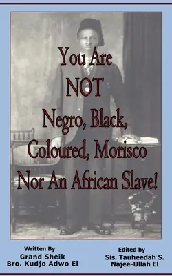 NIE si černoch, černoška, farebný, Morisco ani africký otrok! - You Are NOT Negro, Black, Coloured, Morisco Nor An African Slave!
