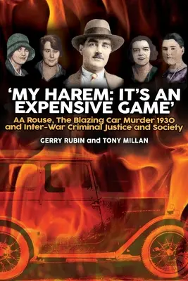 Môj hárem: Je to drahá hra - My Harem: It's an Expensive Game