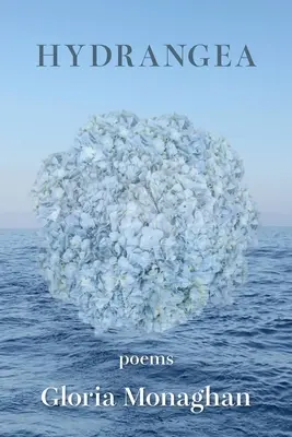 Hortenzie - Hydrangea