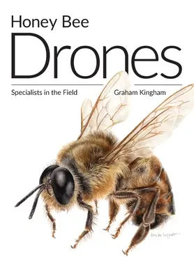 Včelí drones: Špecialisti v teréne - Honey Bee Drones: Specialists in the Field