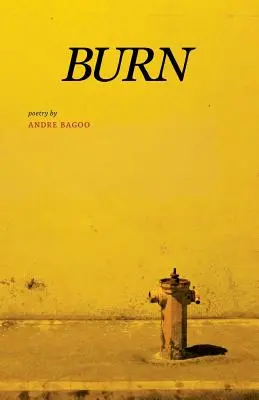 Vypáliť - Burn