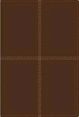 Dvojjazyčná Biblia-PR-NIV/Rvr 1960 - Bilingual Bible-PR-NIV/Rvr 1960