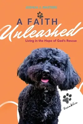 Uvoľnená viera: Žiť v nádeji na Božiu záchranu - A Faith Unleashed: Living in the Hope of God's Rescue