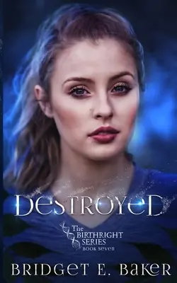 Zničený - Destroyed
