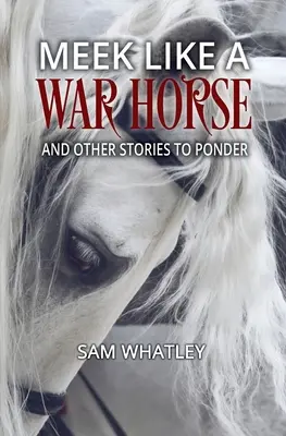Krotký ako vojnový kôň: A iné príbehy na zamyslenie - Meek Like a War Horse: And Other Stories to Ponder