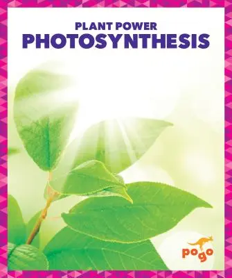 Fotosyntéza - Photosynthesis
