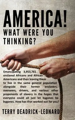 Amerika! Na čo ste mysleli? Emancipácia 3 953 761 zotročených Afričanov a Afroameričanov a ich následné ponechanie v rovnakej všeobecnej pop - America! What Were You Thinking?: Emancipating 3,953,761 enslaved Africans and African Americans and then leaving them to live in the same general pop
