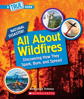 Všetko o lesných požiaroch (Pravdivá kniha: Prírodné katastrofy) - All about Wildfires (a True Book: Natural Disasters)