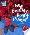 Prečo mi srdce pumpuje? Faktografická príručka 6. úrovne - Why Does My Heart Pump? Level 6 Factbook