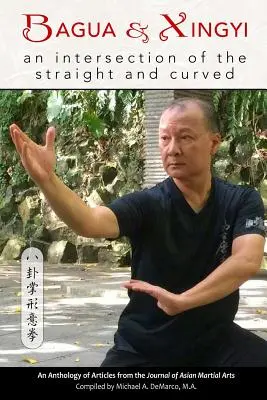 Bagua a Xingyi: priesečník rovného a zakriveného - Bagua and Xingyi: An Intersection of the Straight and Curved