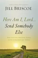 Tu som, Pane... pošli niekoho iného: Ako Boh používa obyčajných ľudí, aby robili neobyčajné veci - Here Am I, Lord...Send Somebody Else: How God Uses Ordinary People to Do Extraordinary Things