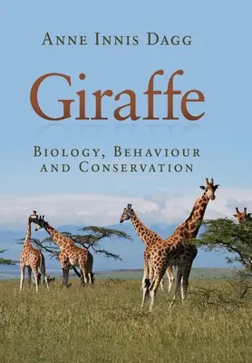 Žirafa - Giraffe