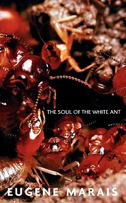 Duša bieleho mravca - The Soul of the White Ant