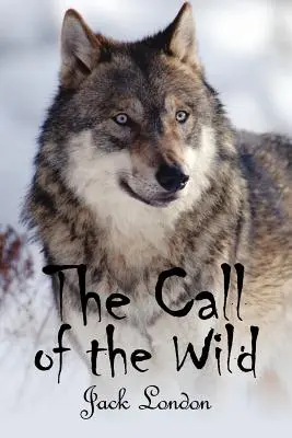 Volanie divočiny - The Call of the Wild