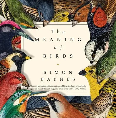 Význam vtákov - The Meaning of Birds