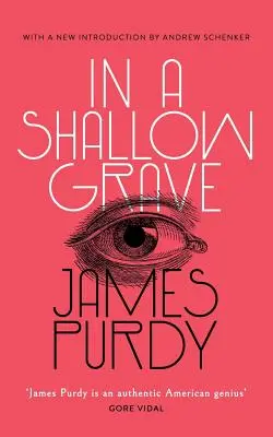 V plytkom hrobe (Valancourt 20th Century Classics) - In a Shallow Grave (Valancourt 20th Century Classics)