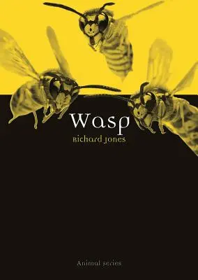 Osy - Wasp