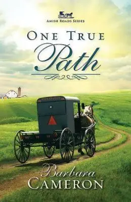 Jediná pravá cesta: Kniha 3: Séria Amišské cesty - One True Path: Amish Roads Series - Book 3