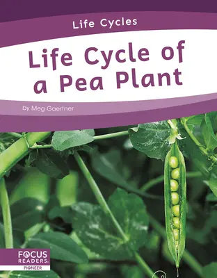 Životný cyklus rastliny hrachu - Life Cycle of a Pea Plant