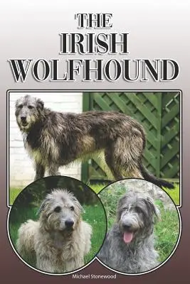 Írsky vlkodav: A Complete and Comprehensive Owners Guide To: Kúpa, vlastníctvo, zdravie, starostlivosť, výcvik, poslušnosť, porozumenie a - The Irish Wolfhound: A Complete and Comprehensive Owners Guide To: Buying, Owning, Health, Grooming, Training, Obedience, Understanding and
