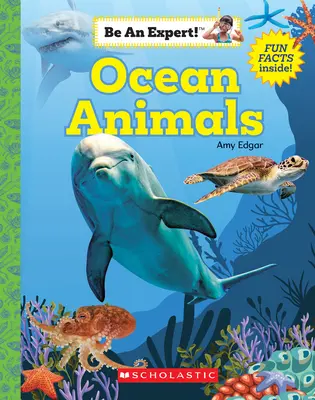 Živočíchy v oceánoch (Buď odborník!) (brožovaná väzba) - Ocean Animals (Be an Expert!) (Paperback)