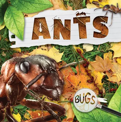 Mravce - Ants