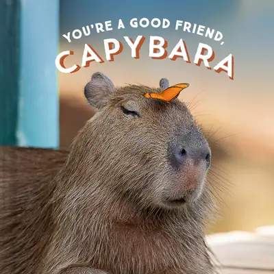 Si dobrý priateľ, kapybara - You're a Good Friend, Capybara