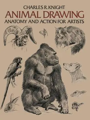 Kreslenie zvierat: Anatómia a akcia pre umelcov - Animal Drawing: Anatomy and Action for Artists